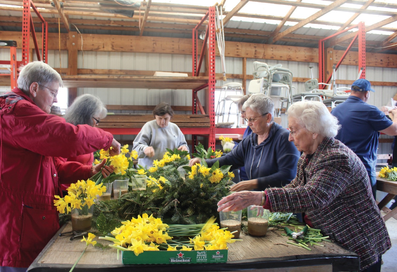 Rose Miller, making a bouquet with the volunteers, has helped her husband, Lion Jack Miller, run Operation Daffodil, for 20 years.