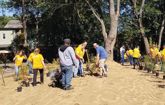 Lions, Anthem volunteers, and other community members work together to plant 200 blueberry bushes.