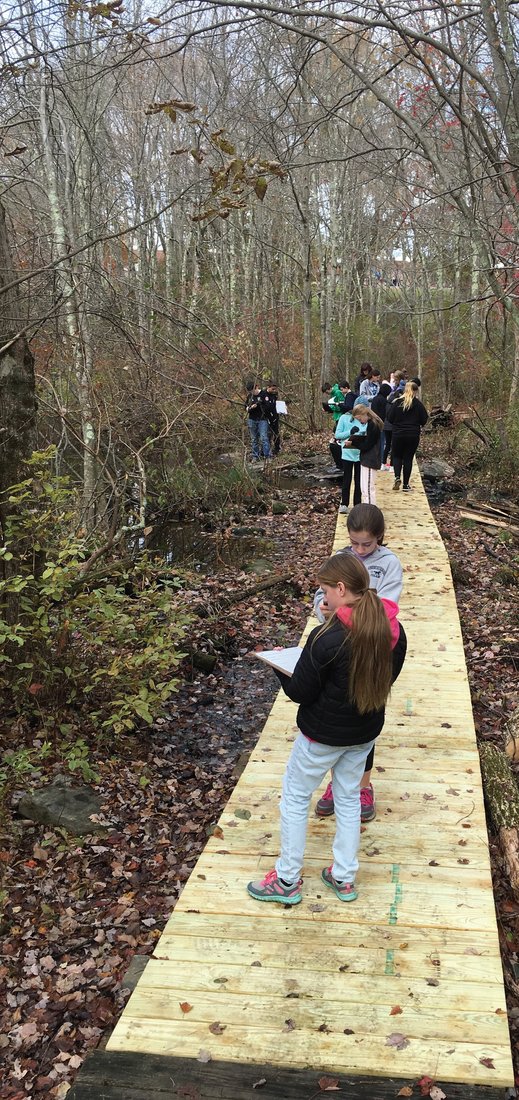 Students make notes as they cross a newly constructed boardwalk along the Cedar Swamp Nature Trail.