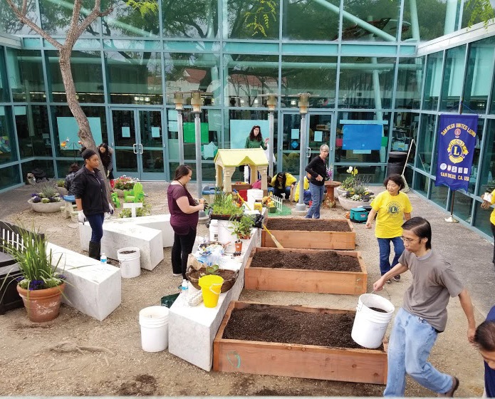 In just three weeks Lions converted an empty patio space into a vibrant educational garden.