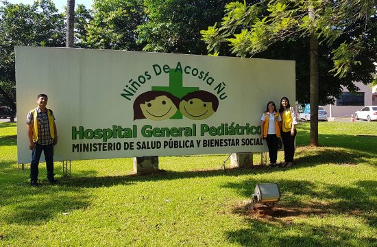 Lions stand next to hospital sign