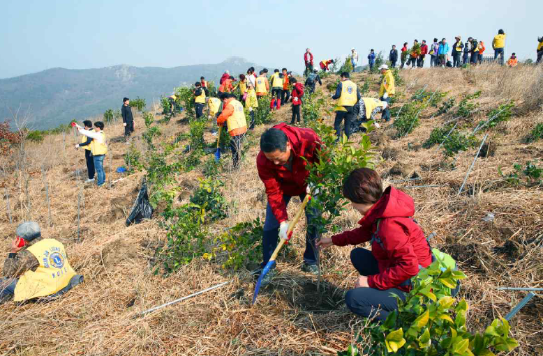 2019-2020 LCIF Annual Report - Lion Magazine