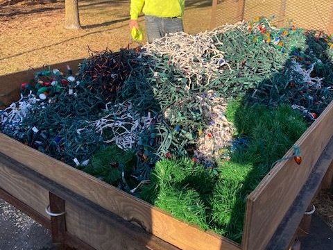 Lions Clubs International recycles Christmas Lights
