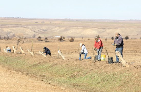 People mending a wire fence