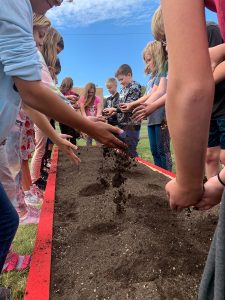 Children plant seeds in garden
