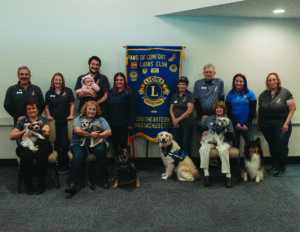 Paws of Comfort Club photo