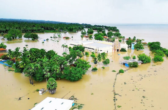 Kaduwela, Sri Lanka Photo Credit Krishan Kariyawasam, NurPhoto via Getty Images