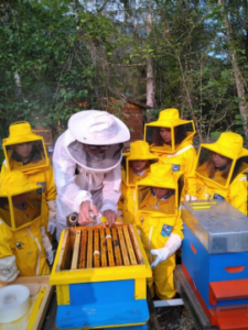 apiary3